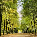 Casa De Palmas Ferienhaus