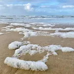 Casa De Palmas * Alkmaar