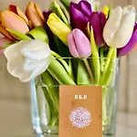 Ferienhaus Casa De Palmas *