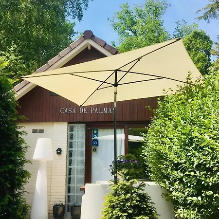 بيت للعطل Casa De Palmas - Tiny House