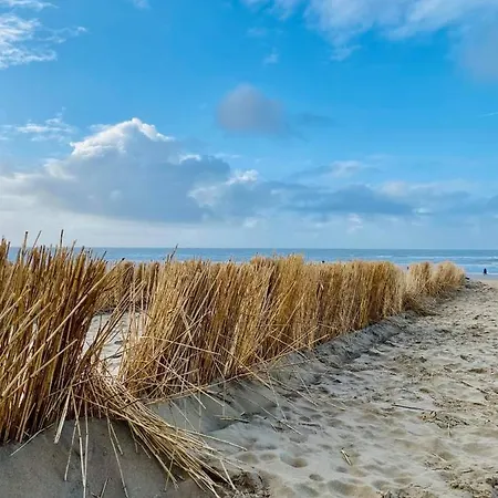 بيت للعطل Casa De Palmas - Tiny House ألكمار