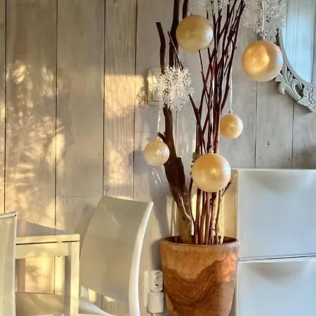 بيت للعطل Casa De Palmas - Tiny House *