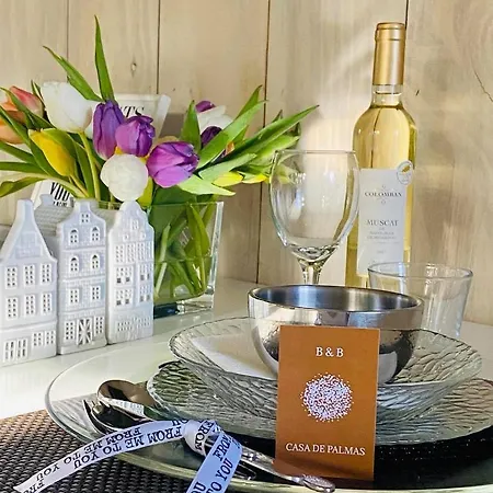 بيت للعطل Casa De Palmas - Tiny House ألكمار