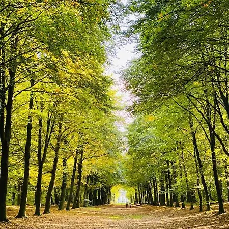 Casa De Palmas - Tiny House بيت للعطل