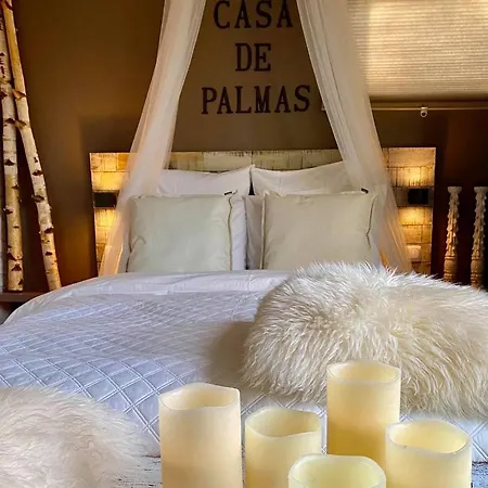 Casa De Palmas - Tiny House * ألكمار