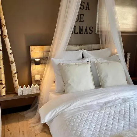 Casa De Palmas