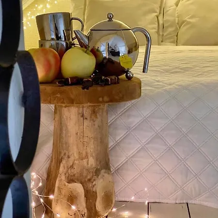 Casa De Palmas - Tiny House