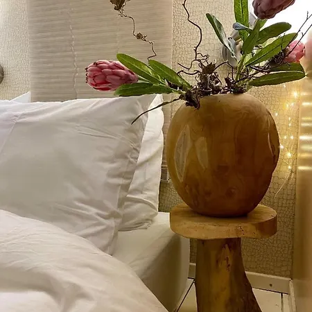 Casa De Palmas - Tiny House Feriehus Alkmaar