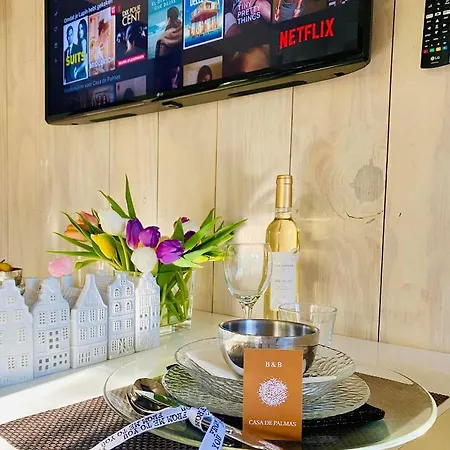 بيت للعطل Casa De Palmas - Tiny House