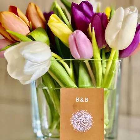 بيت للعطل Casa De Palmas - Tiny House *