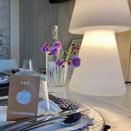 Casa De Palmas - Tiny House ألكمار