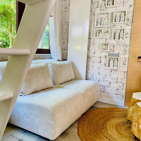 Casa De Palmas - Tiny House Сasa de vacaciones Alkmaar