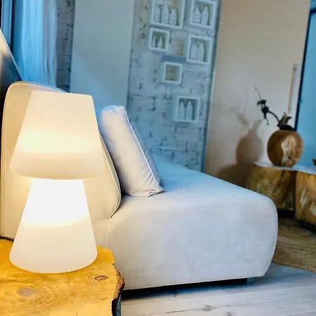 Casa De Palmas - Tiny House بيت للعطل ألكمار