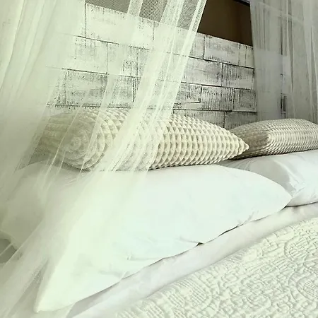 Casa De Palmas - Tiny House ألكمار