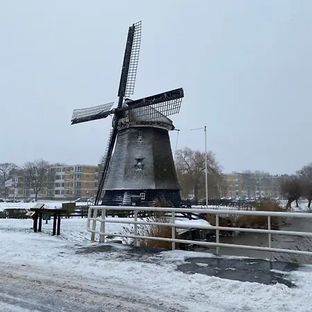 Casa De Palmas - Tiny House بيت للعطل