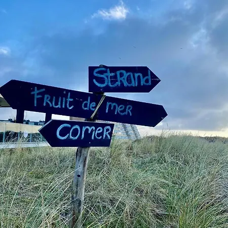 Casa De Palmas - Tiny House *