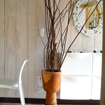 Casa De Palmas - Tiny House *