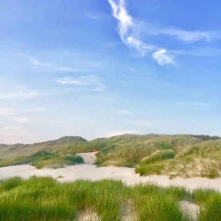 Casa De Palmas - Tiny House ألكمار