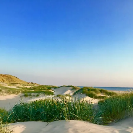 Casa De Palmas - Tiny House بيت للعطل *