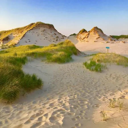 بيت للعطل Casa De Palmas - Tiny House