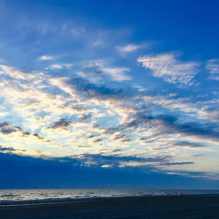 Casa De Palmas - Tiny House Casa de Férias *