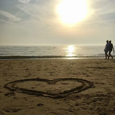 بيت للعطل Casa De Palmas - Tiny House ألكمار