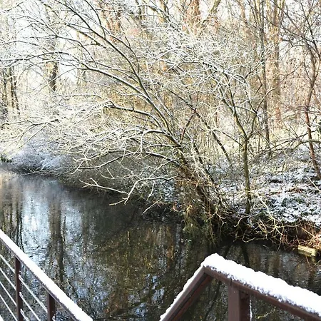 Casa De Palmas - Tiny House Casa de Férias Alkmaar