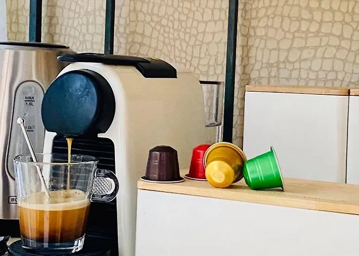 Casa De Palmas - Tiny House Alkmaar