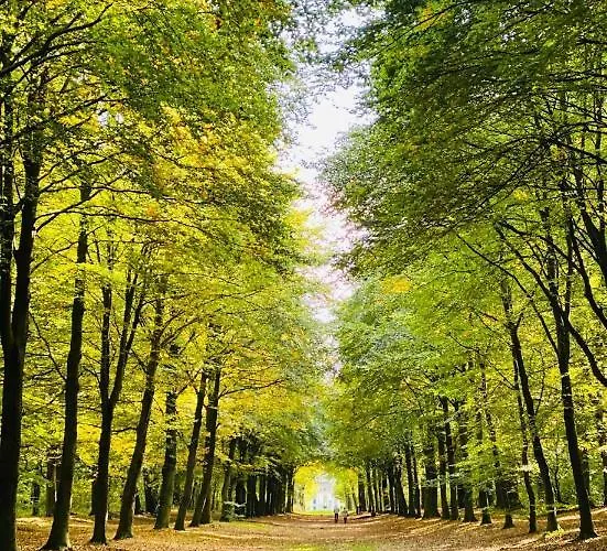 Casa De Palmas - Tiny House Casa de Férias