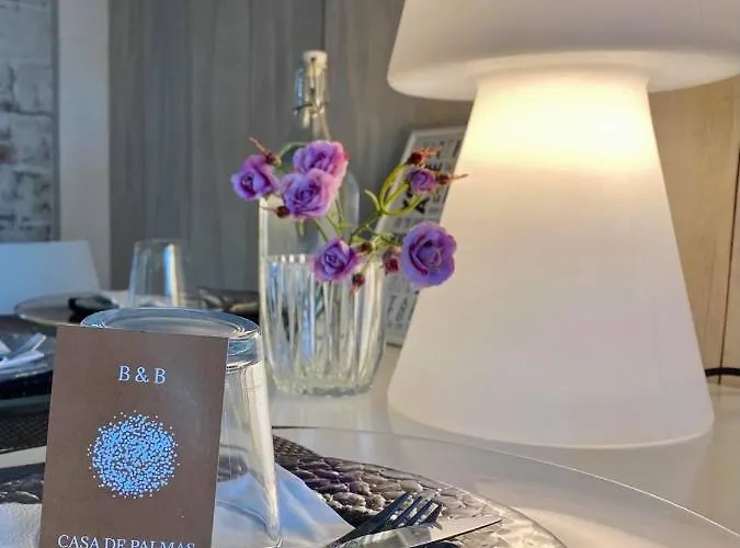 Casa De Palmas Alkmaar