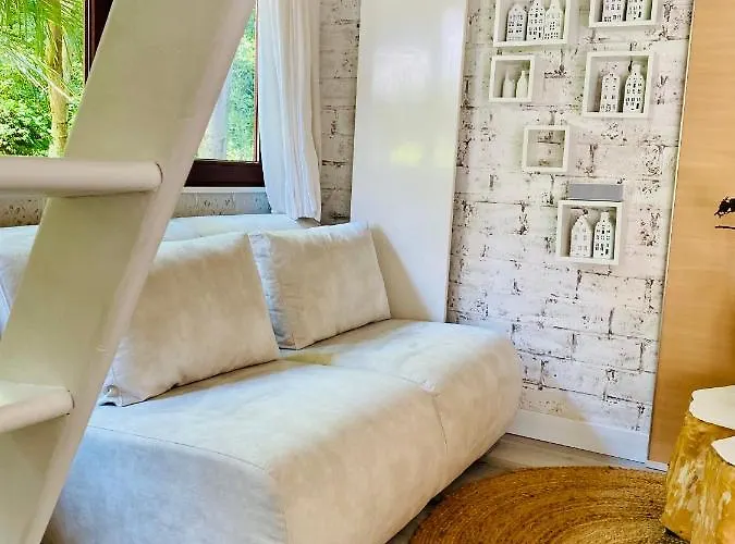 Casa De Palmas - Tiny House Casa de Férias Alkmaar