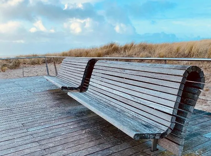 Casa De Palmas - Tiny House Casa de Férias Alkmaar