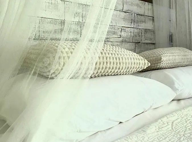 Casa De Palmas - Tiny House Alkmaar