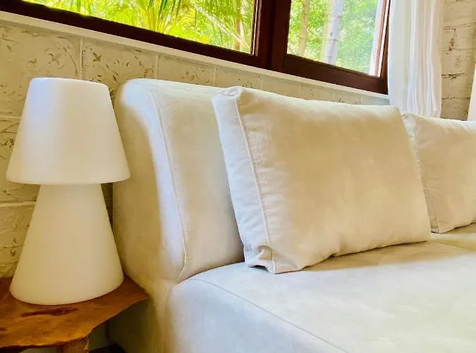 Casa de Férias Casa De Palmas - Tiny House Alkmaar