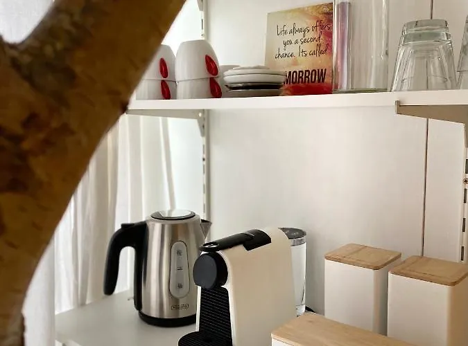 Casa De Palmas - Tiny House Alkmaar