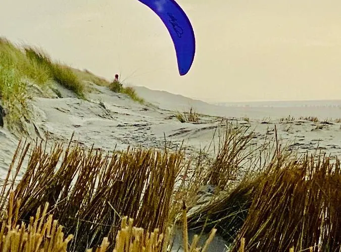 Casa de Férias Casa De Palmas - Tiny House Alkmaar