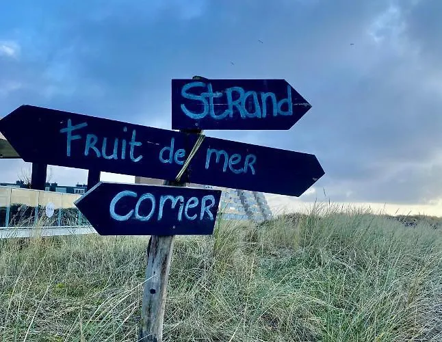 Casa De Palmas - Tiny House *