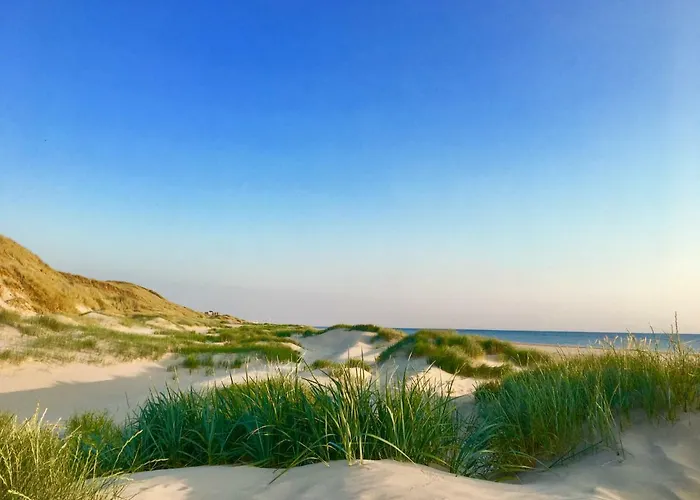 Casa De Palmas - Tiny House Casa de Férias *