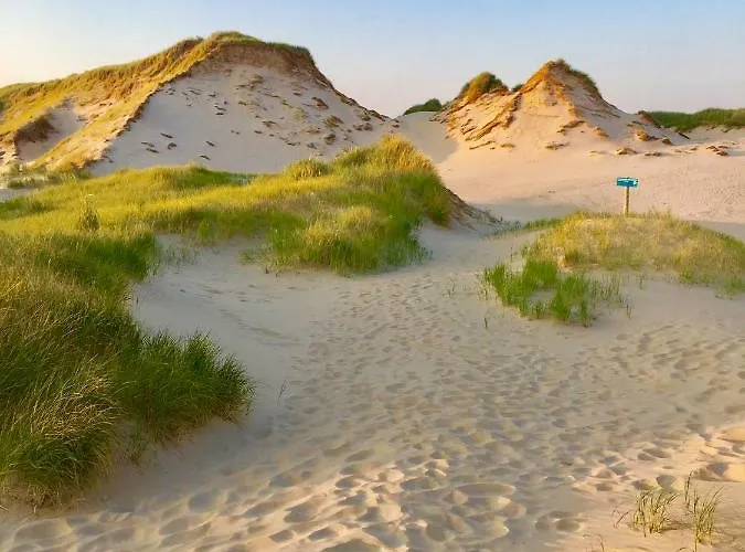 Ferienhaus Casa De Palmas