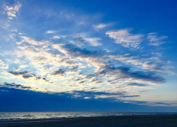 Casa De Palmas - Tiny House Casa de Férias *