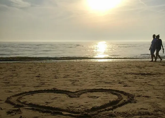 Dom wakacyjny Casa De Palmas - Tiny House Alkmaar