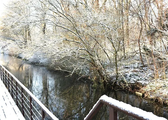 Casa De Palmas - Tiny House Dom wakacyjny Alkmaar